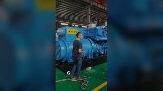 Carico in loco di gruppi elettrogeni diesel