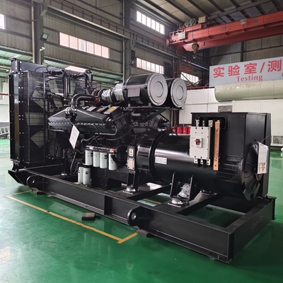 comprare Generatori a gas naturale da 600 kW Generatore elettrico a biomassa da 750 kW online manufacture