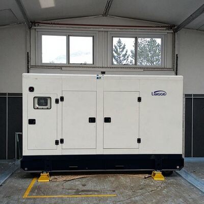 comprare 30KW 40KW 50KW 60KW 100KW 200KW 300KW 400KW Macchine elettriche Generatori di energia elettrica in vendita online manufacture