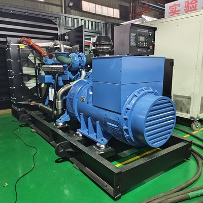 Generatore di biogas da 300 kW 50Hz 400V 375kva Generatore di energia da biogas per energia elettrica