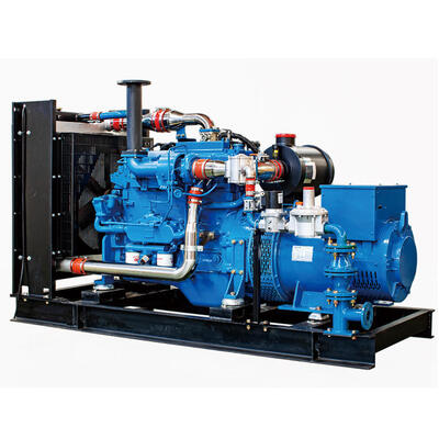 Soluzione economica per generatore a gas naturale Prime 300kW Weichai WP10D238E301NG